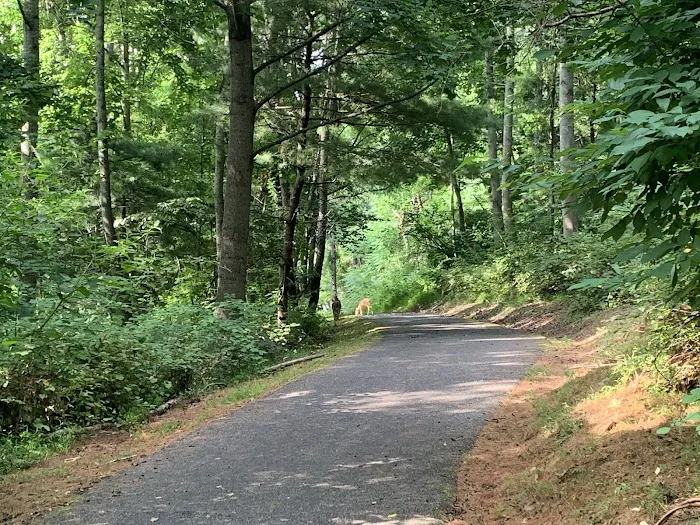 Claytor Lake State Park Campground 6
