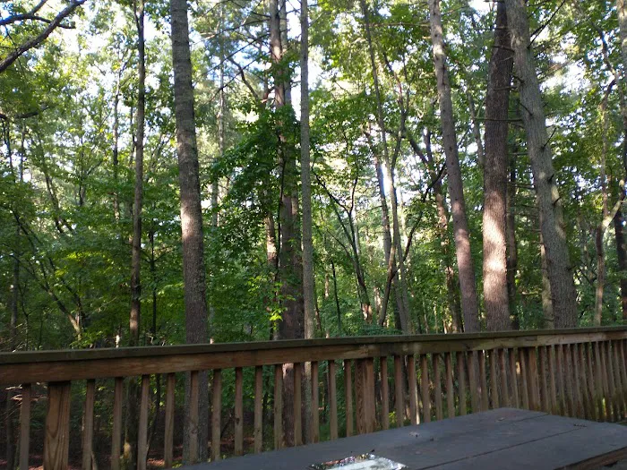 Claytor Lake State Park Campground 7