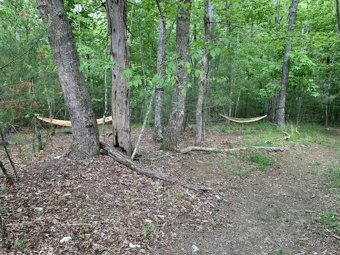 Camp Creek at Little River Farm 2