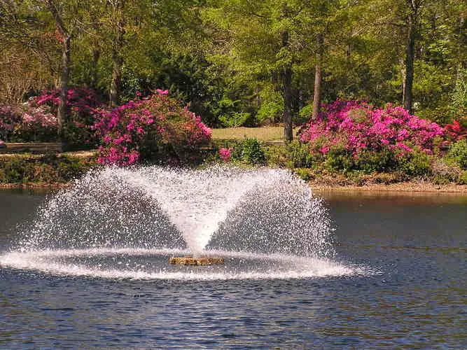 Coastal Estates 5