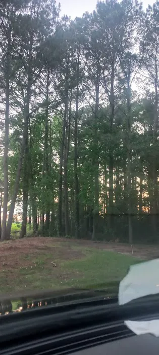 Vista Verde 2