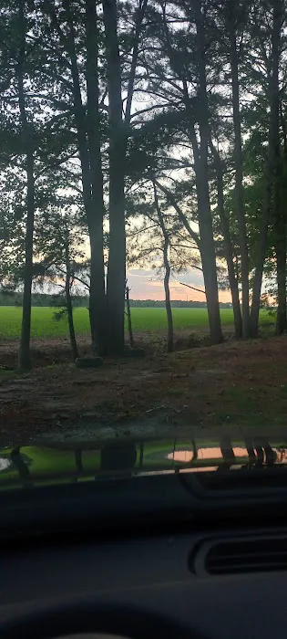 Vista Verde 1