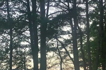 Vista Verde