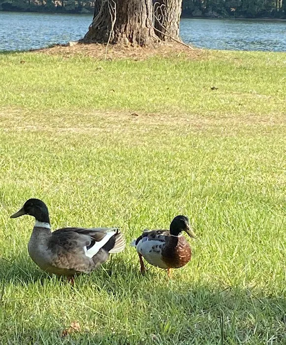 Lake Leamon 8