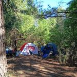 Nick's Nook Family Campground and RV Park