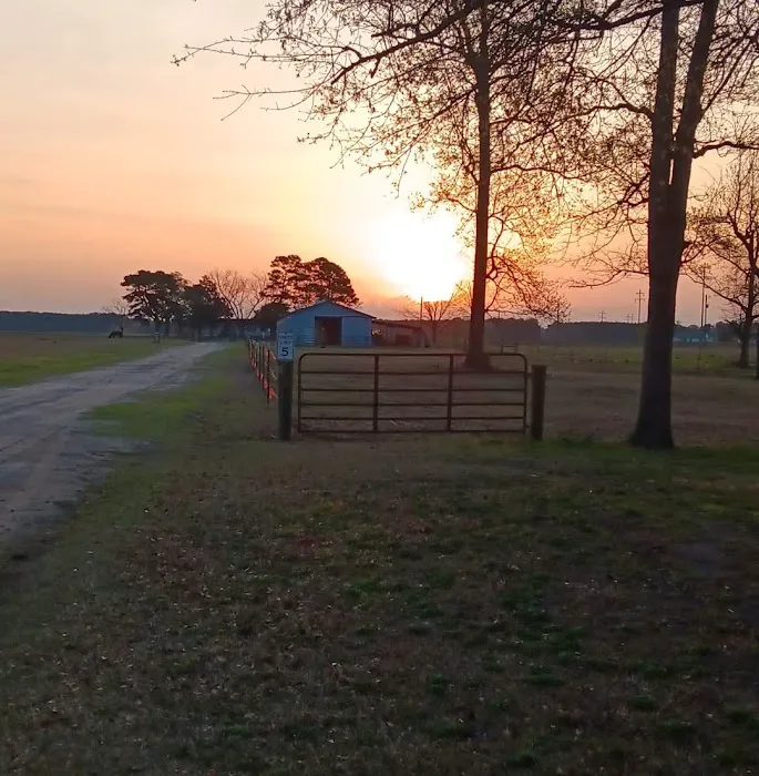 By the Creek Campground and RV Park 9