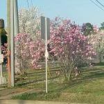 Village Squire Mobile Estates