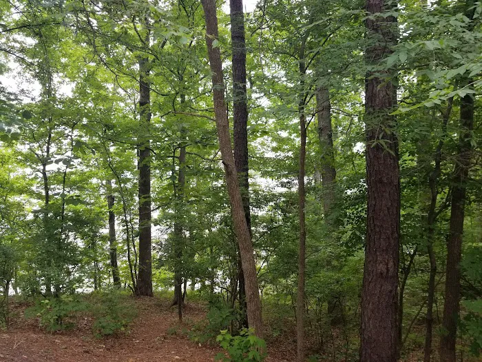 Rolling View Campground Loop A 7