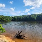 Shinleaf Group Campsites