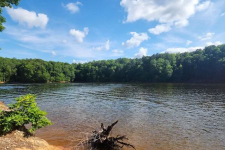 Shinleaf Group Campsites