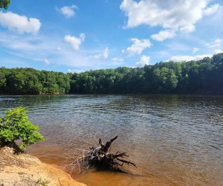 Shinleaf Group Campsites