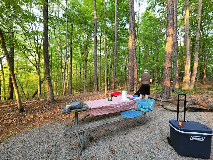 Shinleaf Group Campsites 2