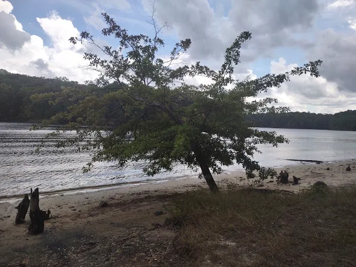 Shinleaf Group Campsites 8