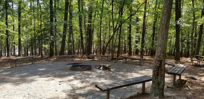 Rolling View Group Campsite Loop 3