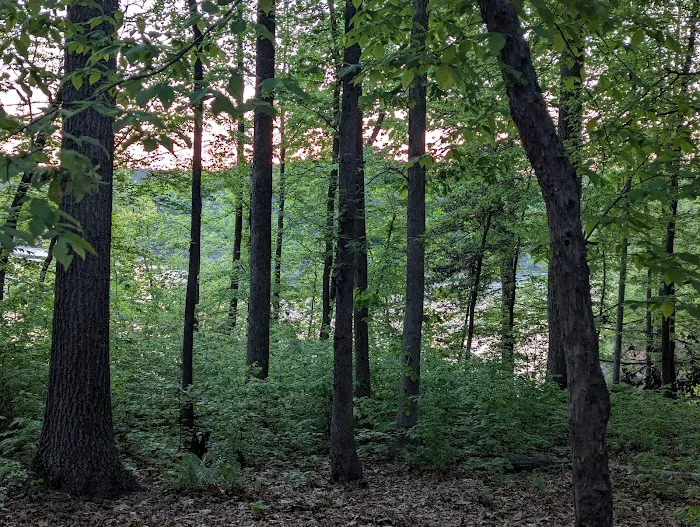 Two Oaks 3