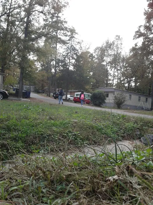 Homestead Village 9