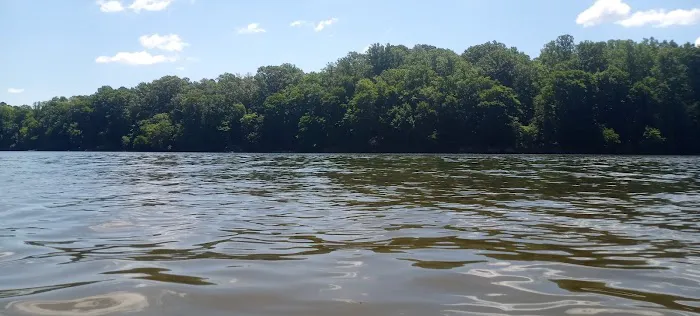 Holly Point Loop 4 Campgrounds 2