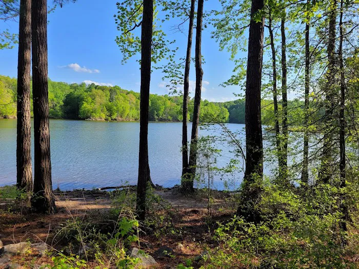 Holly Point Loop 4 Campgrounds 1