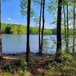 Holly Point Loop 4 Campgrounds