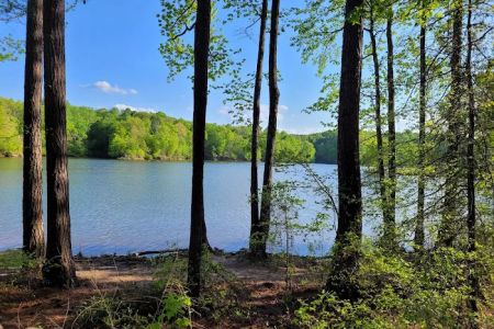 Holly Point Loop 4 Campgrounds