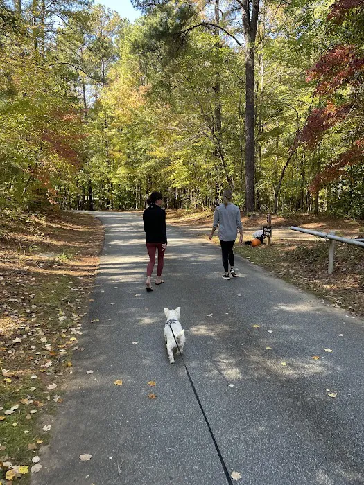 Holly Point Loop 3 Campgrounds 5