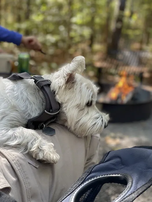 Holly Point Loop 3 Campgrounds 7