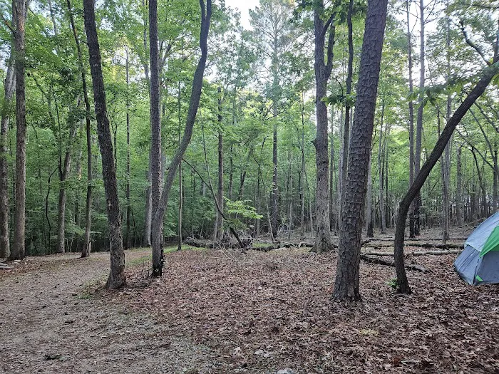 BW Wells Group Campsites 1-5 3