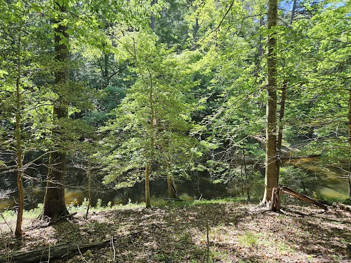 BW Wells Group Campsites 1-5 5