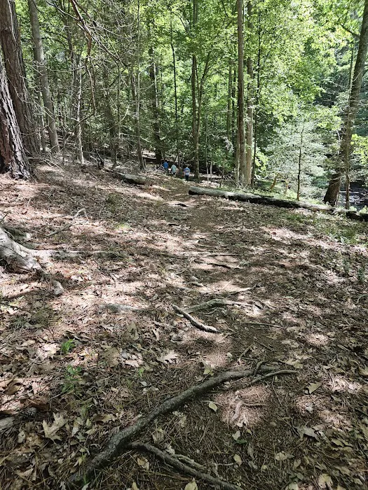 BW Wells Group Campsites 1-5 9