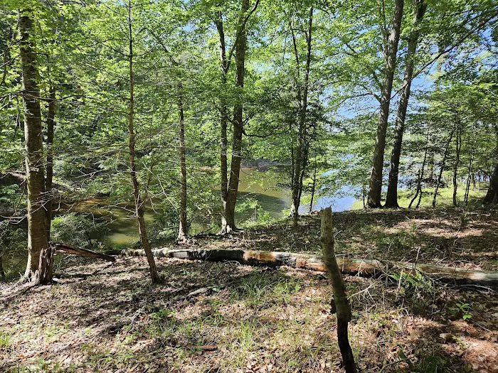 BW Wells Group Campsites 1-5 8
