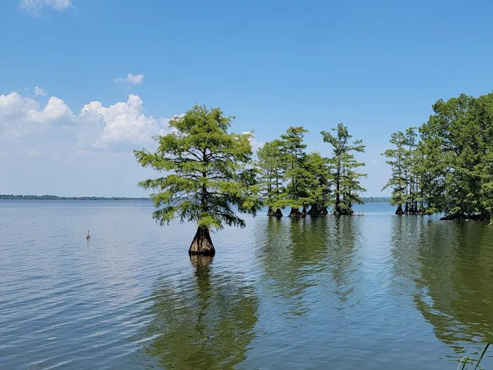 Reelfoot Lake State Park RV South Campground 1