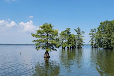 Reelfoot Lake State Park RV South Campground