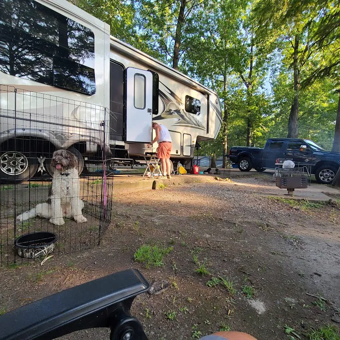 Reelfoot Lake State Park RV South Campground 3