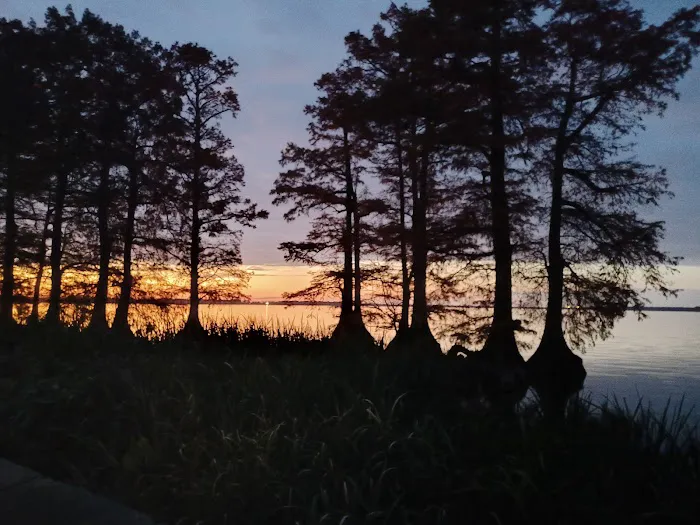 Reelfoot Lake State Park RV South Campground 2