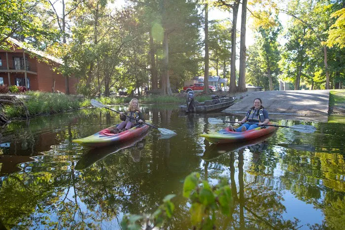 Reelfoot Lake State Park RV South Campground 6