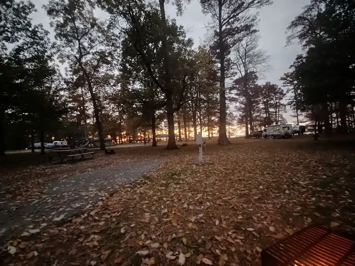 Reelfoot Lake State Park RV South Campground 7