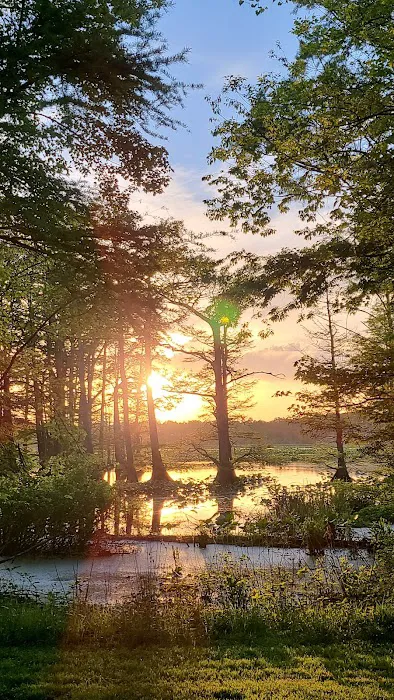 Reelfoot Lake State Park RV South Campground 9