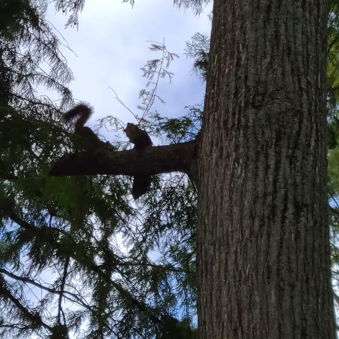 Reelfoot Lake State Park RV South Campground 4