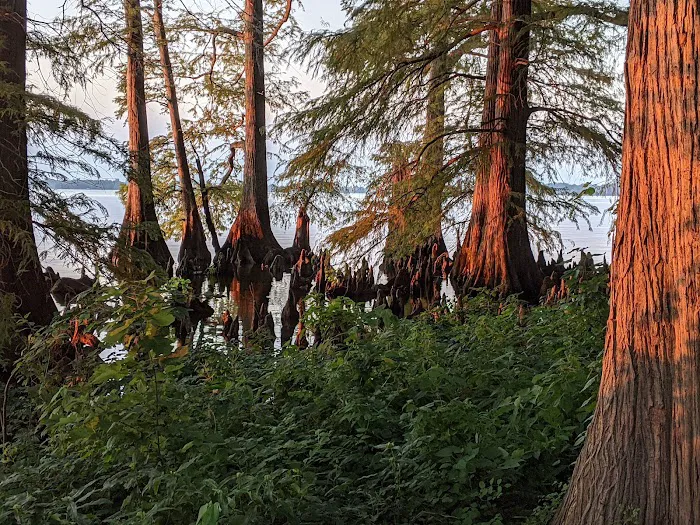Reelfoot Lake State Park RV South Campground 10