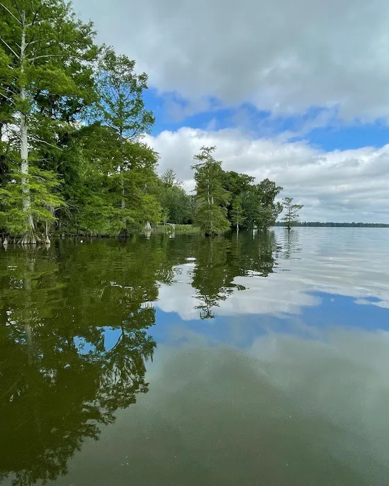 The Dragonfly at Reelfoot Lake 2
