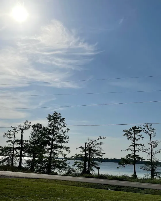The Dragonfly at Reelfoot Lake 3