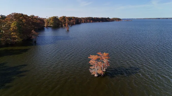 Reelfoot Lake State Park Airpark/North Campground 3