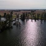 Reelfoot Lake State Park Airpark/North Campground