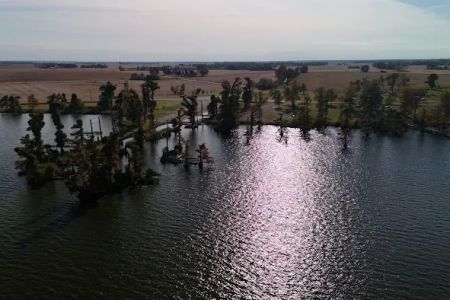 Reelfoot Lake State Park Airpark/North Campground