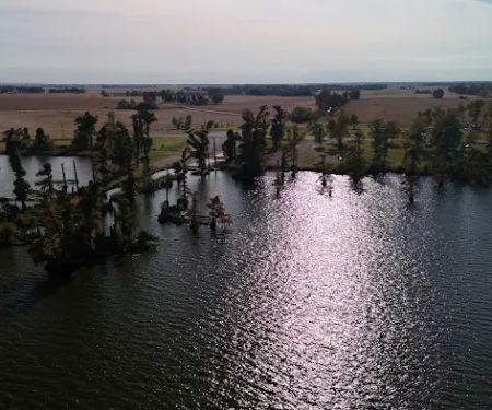 Reelfoot Lake State Park Airpark/North Campground