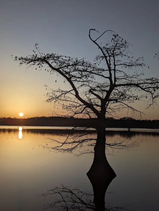 Reelfoot Lake State Park Airpark/North Campground 9