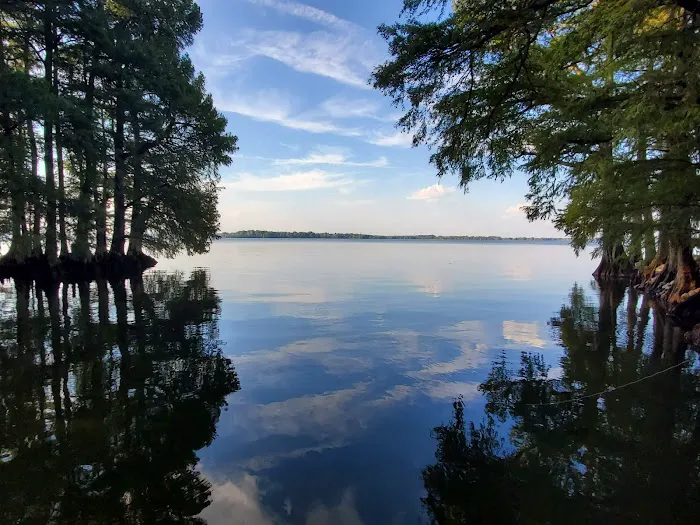 Reelfoot State Park Campground 3