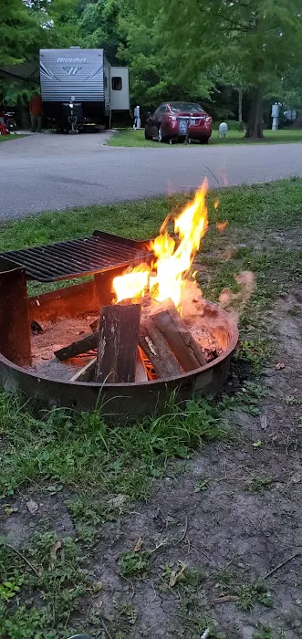 Reelfoot State Park Campground 7