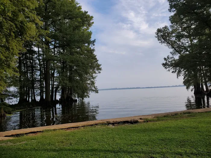 Reelfoot State Park Campground 6