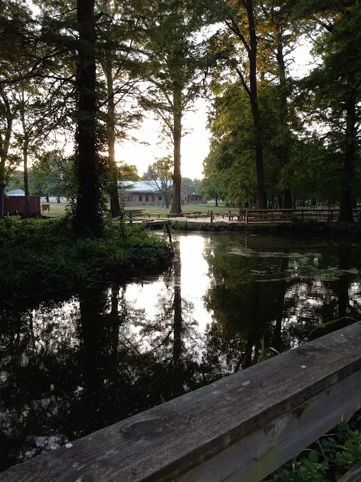 Reelfoot State Park Campground 10
